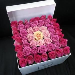 Meet your Posher, Lynn